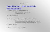 TEMA 7 Ampliacion del análisis mendeliano 1. Variaciones en la dominancia Dominancia incompleta Codominancia 2. Series alélicas 3. Varios genes afectando.