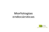 Morfologías endocársticas. Caverna - Ronda (Málaga, España)
