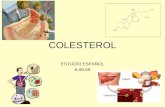 COLESTEROL ESTUDIO ESPAÑOL 6-09-06. ESTUDIO ESPAÑOL El colesterol contribuye al desarrollo de un tipo de cirrosis RAQUEL BARBA | ÁNGELES LÓPEZ MADRID.-