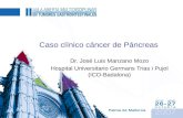 Caso clínico cáncer de Páncreas Dr. José Luis Manzano Mozo Hospital Universitario Germans Trias i Pujol (ICO-Badalona)