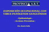 EXPOSICIÓN OCUPACIONAL CON VIRUS PATÓGENOS SANGUÍNEOS - Epidemiología - - Acciones Preventivas - Dra. Beatriz Stella.