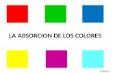 LA ABSORCION DE LOS COLORES Emilie S.. Queremos saber cuales son los colores absorbidos por los objetos. Que es lo que queremos hacer ? ?