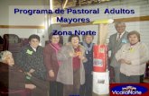 Programa de Pastoral Adultos Mayores Zona Norte 2008.