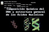 Composición Química del DNA y estructura general de los Ácidos Nucleicos Colegio René Descartes BIOLOGÍA Vista Hermosa 19, Cº Castillo 4º Medio Plan Común.