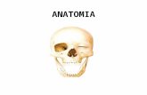 ANATOMIA. Anatomía: del griego anatomē “disección” Rama de las ciencias naturales relativa a la organización estructural de los seres vivos.