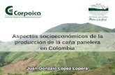 Aspectos socioeconómicos de la producción de la caña panelera en Colombia.
