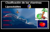 Clasificación de las vitaminas Liposolubles VITAMINA A. VITAMINA D. VITAMINA E. VITAMINA K.