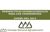 PERSPECTIVAS INTERNACIONALES PARA LOS COMMODITIES ENERO DEL 2013 1.