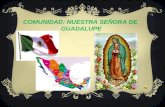COMUNIDAD: NUESTRA SEÑORA DE GUADALUPE. TANTOYUCA – VERACRUZ MÉXICO MÉXICO.