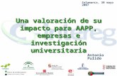Salamanca, 30 mayo 2007 Una valoración de su impacto para AAPP, empresas e investigación universitaria Antonio Pulido.