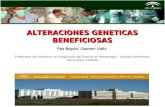 ALTERACIONES GENETICAS BENEFICIOSAS Paz Bayón, Carmen Valls Enfermeras del laboratorio de Coagulación del Servicio de Hematología. Hospital Universitario.