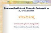Programa Académico de Desarrollo Sustentable en el Sur de Yucatán PADSUR Coordinación General de Extensión Universidad Autónoma de Yucatán.