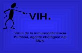 VIH. Virus de la inmunodeficiencia humana, agente etiológico del SIDA.