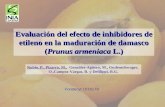 Evaluación del efecto de inhibidores de etileno en la maduración de damasco (Prunus armeniaca L.) Rubio, P., Pizarro, M., González-Agüero, M., Gudenschwager,