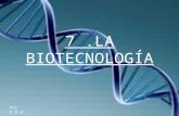 7.LA BIOTECNOLOGÍA Por D.M.G.. La biotecnología es la ciencia que estudia aquellas técnicas que permiten actuar sobre las características y propiedades.