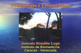 Fotobiología y Fotomedicina Antonio Rondón Lugo Instituto de Biomedicina Caracas - Venezuela Antonio Rondón Lugo Instituto de Biomedicina Caracas - Venezuela.