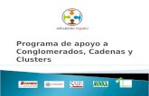 Programa de apoyo a Conglomerados, Cadenas y Clusters.