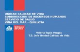 UNIDAD CALIDAD DE VIDA SUBDIRECCION DE RECURSOS HUMANOS SERVICIO DE SALUD VIÑA DEL MAR - QUILLOTA Valeria Tapia Vargas T.S. Jefa Unidad Calidad de Vida.