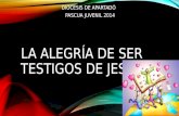 LA ALEGRÍA DE SER TESTIGOS DE JESÚS DIOCESIS DE APARTADÓ PASCUA JUVENIL 2014.