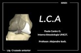 Lig. Cruzado anterior KINEX L.C.A Paula Castro G. Interna kinesiología UNICIT. Profesor: Alejandro kock.