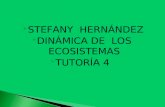 STEFANY HERNÁNDEZ  DINÁMICA DE LOS ECOSISTEMAS  TUTORÍA 4.