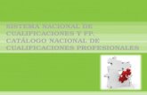 CATÁLOGO NACIONAL DE CUALIFICACIONES -Familia Profesional -Niveles -Competencias (UCs) -Módulos Formativos -Puesto de trabajo. Ocupación. -Sector productivo.