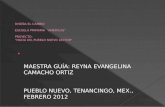 MAESTRA GUÍA: REYNA EVANGELINA CAMACHO ORTIZ PUEBLO NUEVO, TENANCINGO, MEX., FEBRERO 2012.