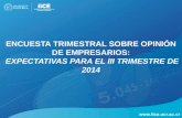 ENCUESTA TRIMESTRAL SOBRE OPINIÓN DE EMPRESARIOS: EXPECTATIVAS PARA EL III TRIMESTRE DE 2014.
