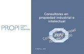 Consultores en propiedad industrial e intelectual © PROPI S.L., 2007.