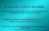Resolución 1173/11 ACUMAR. Superposición de jurisdicciones. Multiplicidad de obligaciones por un mismo hecho. Seguro ambiental obligatorio en la Provincia.