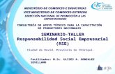 1 SEMINARIO-TALLER Responsabilidad Social Empresarial (RSE) MINISTERIO DE COMERCIO E INDUSTRIAS VICE MINISTERIO DE COMERCIO EXTERIOR DIRECCIÓN NACIONAL.