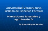 Universidad Veracruzana Instituto de Genética Forestal Plantaciones forestales y agroforestería Dr. Juan Márquez Ramírez.