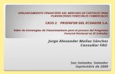APALANCAMIENTO FINANCIERO DEL MERCADO DE CAPITALES PARA PLANTACIONES FORESTALES COMERCIALES CASO I: PROFAFOR DEL ECUADOR S.A. Taller de Estrategias de.