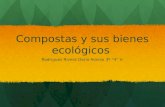 Compostas y sus bienes ecológicos Rodriguez Rivera Darío Alonso 3º “4” V.