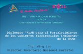 Diplomado “AVAR para el Fortalecimiento de los Gobiernos Territoriales Indígenas de la RAAN” Ing: Wing Lau Director Inventario Nacional Forestal.