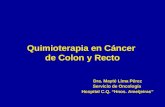 Quimioterapia en Cáncer de Colon y Recto Dra. Mayté Lima Pérez Servicio de Oncología Hospital C.Q. “Hnos. Ameijeiras”