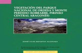 Vegetación del Parque Nacional de Ordesa y Monte Perdido (Sobrarbe, Pirineo Central Aragonés), 2006