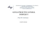 GUIA PRACTICA FINAL.pdf