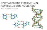 Farmacos Que Interactuan Con Los Acidos Nucleicos