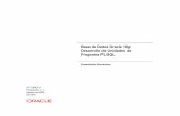 PLSQL Program Units Castellano Completo Sin Anotaciones D21979