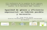 VIII Conferencia de la asamblea de las regiones sobre igualdad de oportunidades entre hombres y mujeres, 18-19 Septiembre 2008. Valencia Igualdad de género.
