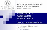 PROCESOS Y CONTEXTOS EDUCATIVOS TEMA 2: LA ORGANIZACIÓN DE LOS IES MÁSTER EN PROFESOR/A DE EDUCACIÓN SECUNDARIA Curso 2009-2010 Profesora: Elena López.