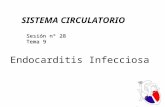 Endocarditis Infecciosa SISTEMA CIRCULATORIO Sesión nº 28 Tema 9.