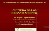 1 LA FUNCION DIRECTIVA EN LAS ADMINISTRACIONES PUBLICAS CULTURA DE LAS ORGANIZACIONES Dr. Miguel J. Agudo Zamora Profesor Titular Derecho Constitucional.