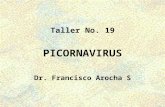 Tema4 Picornavirus