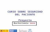 CURSO SOBRE SEGURIDAD DEL PACIENTE Proyecto Bacteriemia zero.