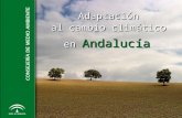 Adaptación al cambio climático Adaptación al cambio climático en Andalucía.