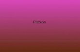 Plexos. plexos red formada por varios ramos o filetes nerviosos o vasculares entrelazados pertenecientes a los nervios cerebrorraquídeos.