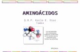 AMINOÁCIDOS Q.B.P. Karla E. Díaz Tamez. AMINOÁCIDOS (aa) Unidades que forman las proteínas. Poseen un grupo amino y un grupo carboxilo, además de su grupo.