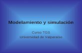 Modelamiento y simulación Curso TGS Universidad de Valparaíso.